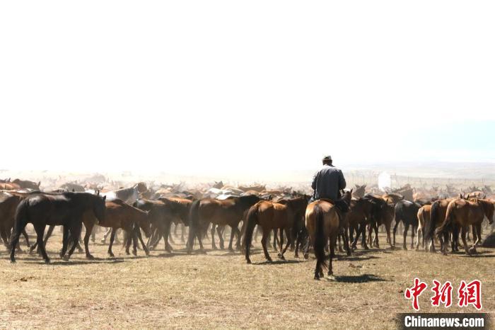 2022年第三十届新疆伊犁天马国际旅游节开幕